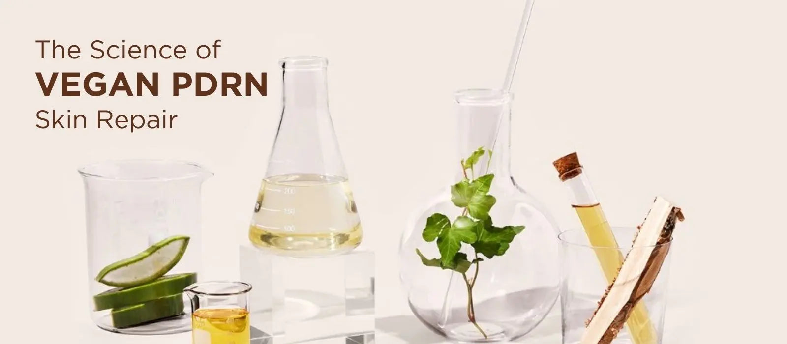 How Vegan PDRN Serum Works