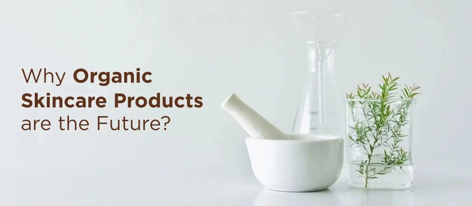 Organic Skincare for Healthy, Glowing Skin