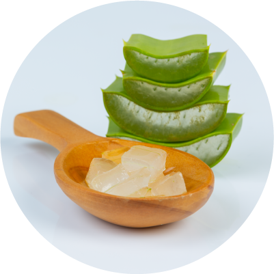Aloe Barbadensis Leaf Extract