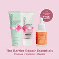 Barrier Repair